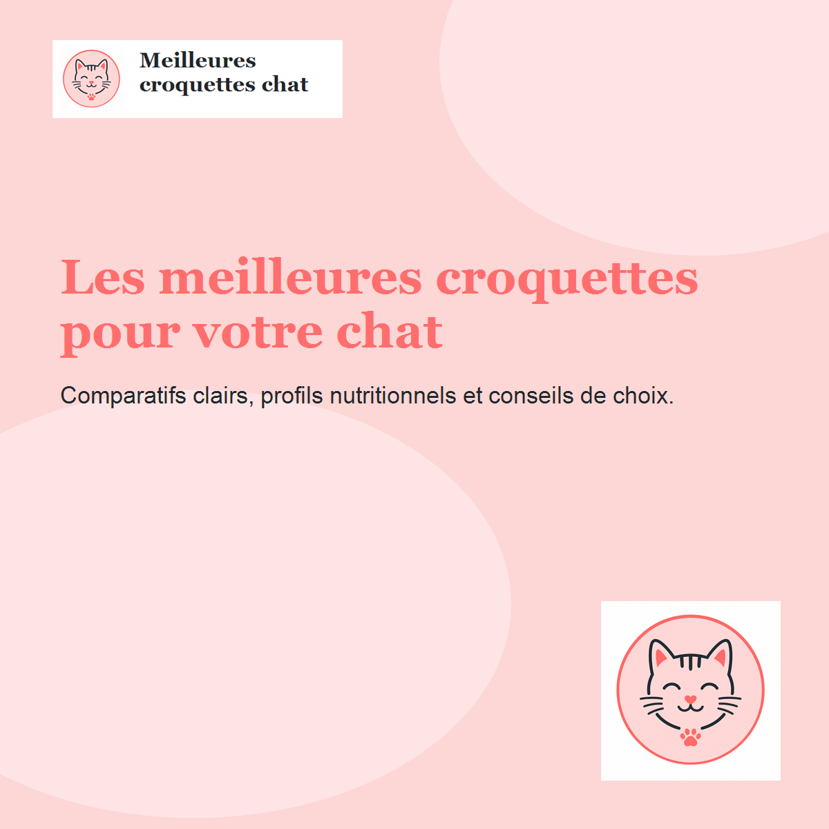 Croquettes pour chat
